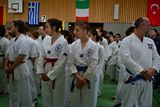 German_Open _Giebelstadt_2014_08.jpg